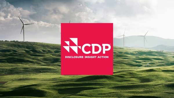Cdp : comment améliorer votre empreinte écologique ?